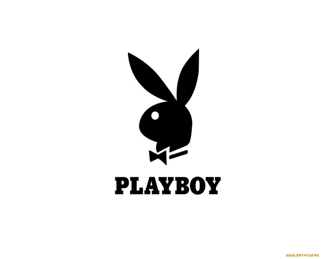 , playboy